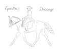 Dressage horse with rider performing quick trott, equestrian sport.