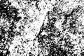 Black and white vector old cement surface rough rough background