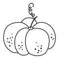 Black and white vector pumpkin. Outline autumn vegetable. Line style squash. Funny veggie illustration or coloring page isolated