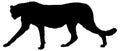 Black and white vector silhouette of an adult cheetah.