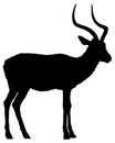 Black and white vector silhouette of an adult impala antelope. Royalty Free Stock Photo