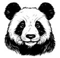 Black and white vector sketch of a Giant Panda