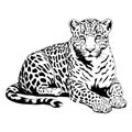 Black and white vector sketch of lying Jaguar. ai generated illustration