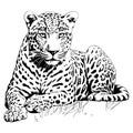 Black and white vector sketch of lying Jaguar. ai generated illustration