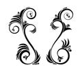 Black and white vectore curl florish vignette