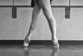 Black and White Version of The Ballet Barre Royalty Free Stock Photo