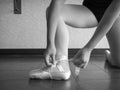 Black and white version of Recreational young female ballet dancer ballerina, in the studio putting on her pointe shoes, tying up Royalty Free Stock Photo