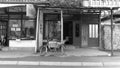 Black-White View Commercial Street In Novi Pazar, Serbia