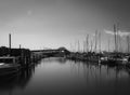 Black and White view on the Harbour Bridge