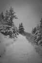 Black and white view of a narrow hiking trail Royalty Free Stock Photo