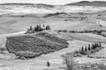 Black and white view of a typical glimpse of the Tuscan countryside south of Siena, Italy Royalty Free Stock Photo