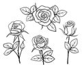 Black and white vintage roses isolated set 02 Royalty Free Stock Photo