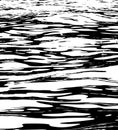 Black and white water waves grunge texture. Royalty Free Stock Photo