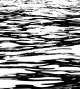 Black and white water waves grunge texture PNG file format . Royalty Free Stock Photo