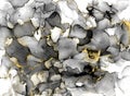 Black And White Watercolor Background With Gold Glitter. Watercolor Alcohol Ink Splash, Liquid Flow Texture Paint