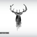 Black and white watercolor deer head Royalty Free Stock Photo