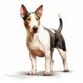 Colorful Caricature-like Bull Terrier Illustration On White Background