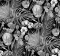 black and white watercolor seamless monochrome pattern with herbarium of dry palm leaves with protea