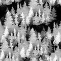 Black and White Watercolor Seamless Pattern of Conifer Tree, Monochrome Winter Woodland, Forest Landscape