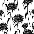 Black and white watercolor seamless pattern with turkish carnation Royalty Free Stock Photo