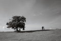 two people standing near a tree