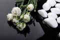 Wet drops on a black background, black and white stones, plantsflowers and stones on the water