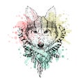 Black and white wild animal wolf head, abstract art, tattoo, doodle cketch. Royalty Free Stock Photo