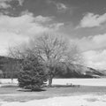 Black and white winter lake landscape Royalty Free Stock Photo