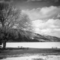 Black and white winter lake landscape Royalty Free Stock Photo