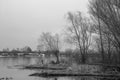 Black and white winter landscape of the forest at the river Royalty Free Stock Photo