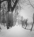 Black and white winter scene with a lone person walking in a blizzard along trees alley in the snowy park. Wanderer silhouette on Royalty Free Stock Photo