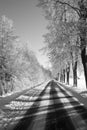 Black and white winter way Royalty Free Stock Photo