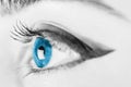 Black And White Woman Blue Eye Royalty Free Stock Photo