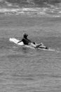 Black and White Woman Paddling a Surfboard Royalty Free Stock Photo