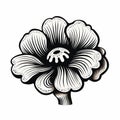 Black And White Wood Engraving Of Anemone Flower Royalty Free Stock Photo