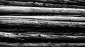 Black and white wood Royalty Free Stock Photo