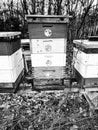 Black and white wooden bee hives in the garden