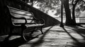 Black and white of Wooden bench on a park walkway with sunlight