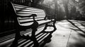 Black and white of Wooden bench on a park walkway with sunlight