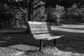 Black and White Park Bench Sunset Trees Royalty Free Stock Photo