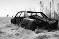 Black And White Wrecked Car Royalty Free Stock Photo