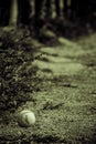 Baseball on ground behind the home run fence Royalty Free Stock Photo