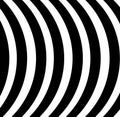 Black and white stripes lines curvy zebra geometric abstract background vector