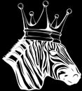 Zebra head in white line on black background Royalty Free Stock Photo