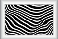 a black and white zebra pattern in a square frame Royalty Free Stock Photo