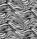 Black and white zebra stripe pattern background