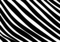 Black and white zebra stripes background pattern design Royalty Free Stock Photo