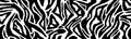 Zebra skin, stripes pattern. Animal print, black and white detailed and realistic texture. Monochrome seamless background. Vector Royalty Free Stock Photo