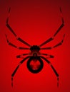 Black widow bot Royalty Free Stock Photo