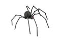 Black Widow Spider Royalty Free Stock Photo